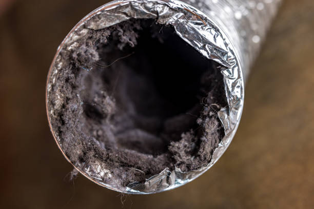 Best Air Duct Cleaning Near Me  in White Horse, NJ